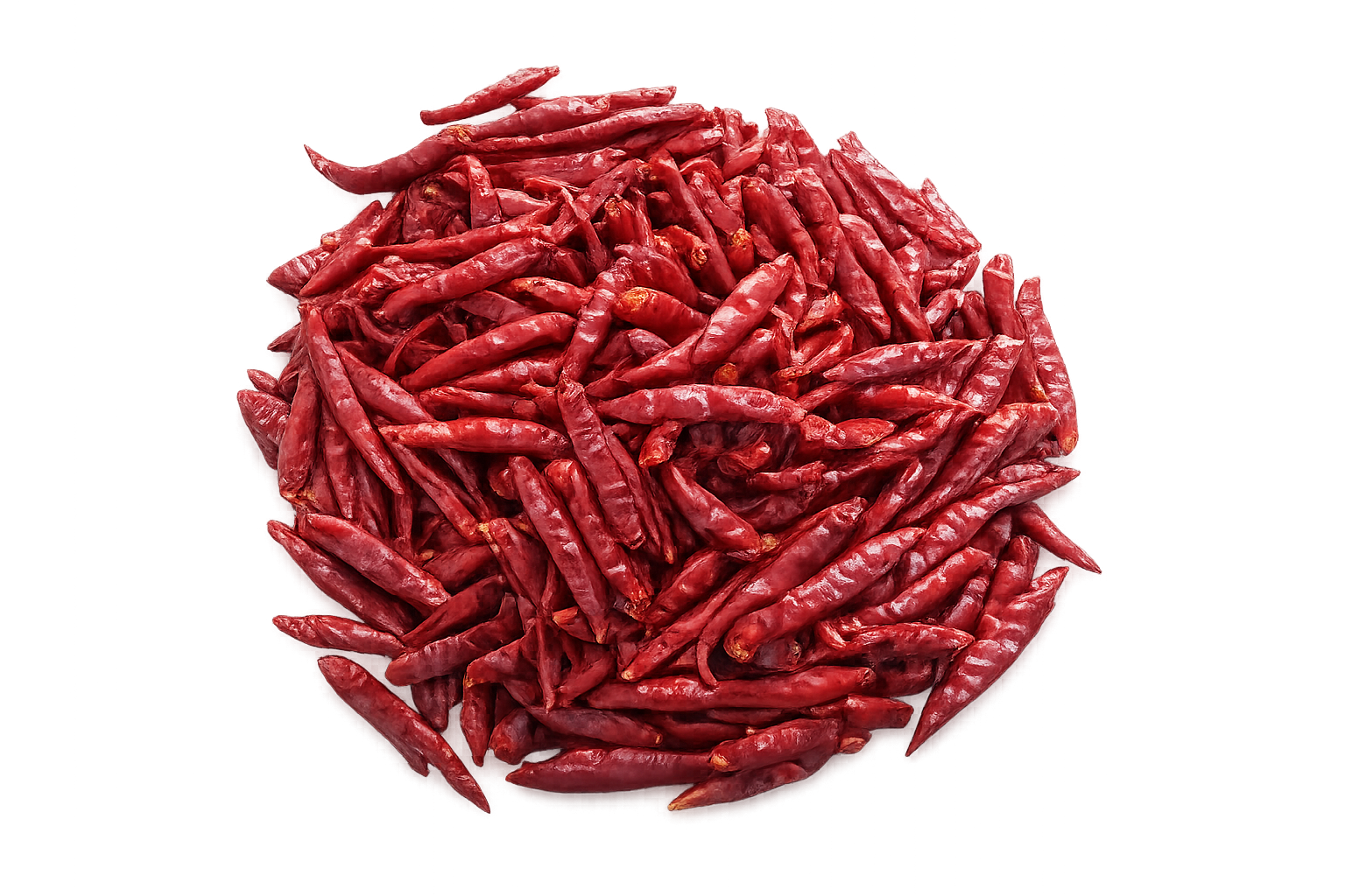Kashmiri Red Chilli
